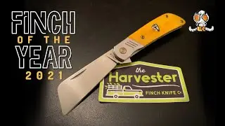 Finch Harvester - Great Blend of Modern and Traditional Pocket Knife - My Finch of the Year for 2021