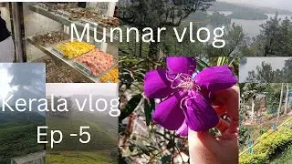 Exploring Munnar | Kerala&rsquo;s Most Beautiful Hill Station || Munnar Travel Vlog || 