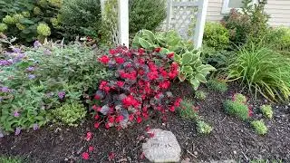 Garden Tour September 2022