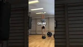 They can Walk on the Ceiling😳 #shorts #interesting #illusion