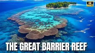 The Beating Heart of the Ocean: Inside the Great Barrier Reef
