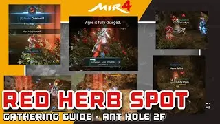 RED HERB SPOT | ANT HOLE 2F | MIR4 GATHERING GUIDE