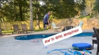 How to REPEL MOSQUITOES NATURALLY