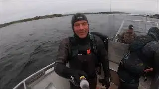 Norway 2021 - pollock, hallibute, scallops, cod, mackeral, brown crab - R&oslash;rvik