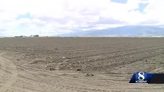 Ag impacted by fertilizer shortage they normally get from Russia