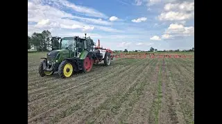 Odchwaszczanie kukurydzy 🌽 [Vlog#22] | Fendt 314 + Kuhn Lexis 2400