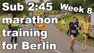 Training for sub 2:45 at Berlin Marathon // Week 8 // Newark Half &ndash; A poor performance to forget!