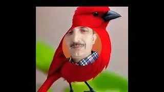 گلزار یوسف کی کتاب بہت ہی پیاری اواز میں اپ پردیسی بھائیوں کے لیے لائک اور شیئر کریں