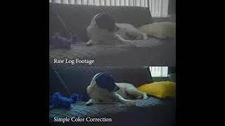 Raw vs Color Corrected Black Magic Pocket Cinema 4k Footage Comparison