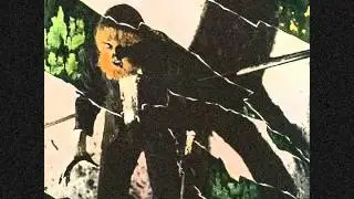 midnight rags - flying ace