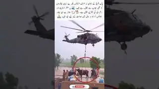 Pak Army Rescues Helpless Animals from Flood #foryou #trending #flood #pakarmy #rescue #animal #like