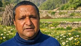 #youtube #viral #nature #farming #hardwork #tranding #compost #pahadiculture 