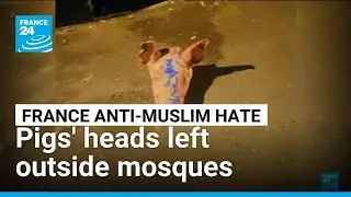 Pigs' heads left outside mosques in Paris region &bull; FRANCE 24 English