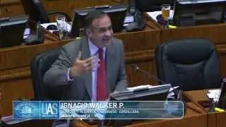 INTERVENCIONES ARTISTICAS EN VIA PUBLICA