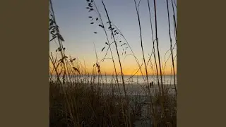 Ocean Breeze