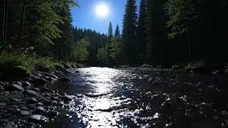 Nature Healing ASMR 🌿 Forest River with Birds