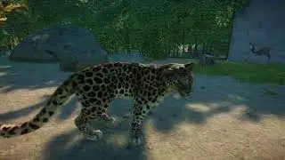 Amur Leopard | Planet Zoo Animals
