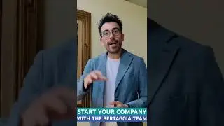 💼 Why You Need Experts to Set Up a Company | Bertaggia Law Firm 🌐
