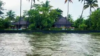 Backwaters whisper peace to a restless soul. #trending #photooftheday #nature #viral #kumarakom #wow