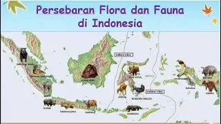 Persebaran Flora dan Fauna di Indonesia