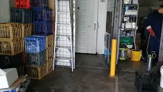 Commercial Pest Control Solutions for Restaurants in Dural | A1 Pest Control
