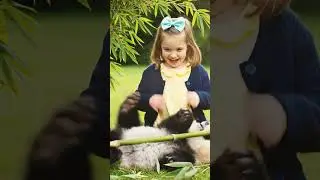 Baby Meets a Panda 🐼😂 | Cutest Reaction Ever #CuteBaby #FunnyKids #shorts