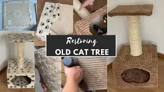 How to restore old cat tree to new one  #cattree #cat #cats