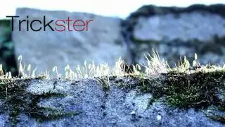 Trickster 4.0