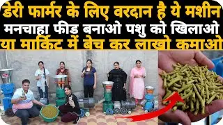 30HP Pellet Making Machine पशु आहार बनाने की मशीन Cattle Feed Making Machine Pasu Aahar Machine