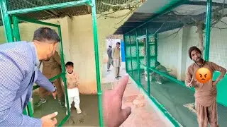 Ibrahim Nay Mastercage Khrab Kr Dia 🤣 Mical Gusa Ho Gea 😁