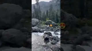 Kashmir valley with some memories #nature #kashmirnature #shortvideo