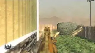 CoD Black Ops All Golden Guns Assault Rifles AUG-G11