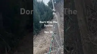 Don't Miss The Sunrise Day 24/365. #dailyshorts #dailyvlog #newyearresolution #motivation #daily