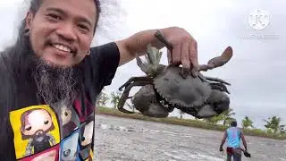 Harvest time, mud Crab hunting
