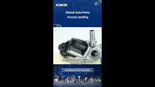 Global Auto Parts, Kowze Leading