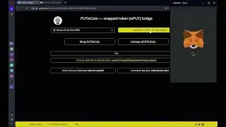 PUTinCoin Token Bridge Tutorial