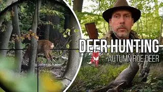Danish roe deer autumn hunting.  Riffeljagt p&aring; r&aring;vildt .308win