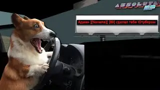 ВЫДАЛИ ЮТУБЕРКУ НА АБСОЛЮТ РП  ХРОМИУМ / absolute rp 3 chromium gta samp