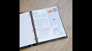 Interleaves sheets for albums with coins of Asia. Sheets with information about countries and coins