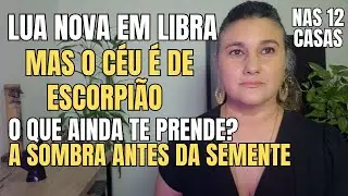 Lua Nova em Libra, mas o Céu é de Escorpião: O que ainda te prende? A Sombra Antes da Semente