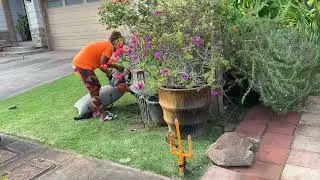 ERIC&rsquo;s Yard Service. OAHU, HAWAII, April 6, 2022.