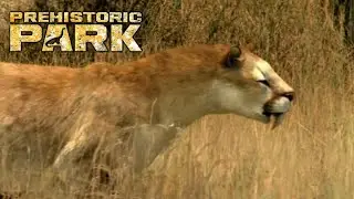 Saber Tooth Hunt, Prehistoric Park Ep 4 (2006)