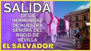 Salida de la Hermandad del Rocío de Sevilla 2023 (El Salvador)  4K
