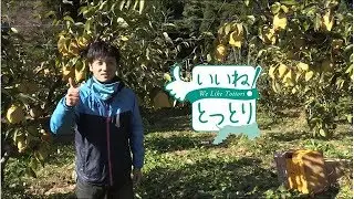 全国的にも高レベルな梨の栽培技術を残して後に残るようにしたい【いいね！とっとり　移住体験談】
