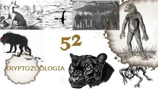 52# Kryptozoologia - Tatzelwurm