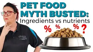 Ingredient List vs. Nutrient Percentages: What Really Matters for Dog Food?