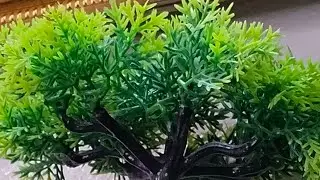 স্বামীর জেদ,রাগ,নেশা,জন্য ভাঙতে চলেছে সংসার।নদীয়া