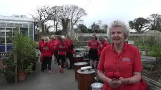 Video News Package on Samba Kernow