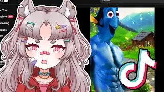 Vtuber Shows Chat Her Cursed TikTok Likes! - Laurrellive