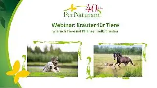 Kr&auml;uter f&uuml;r Tiere - wie sich Tiere mit Pflanzen selbst heilen